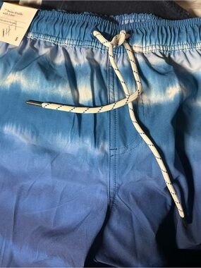 Source Unknown Blue Ombre Men’s Swim Trunks